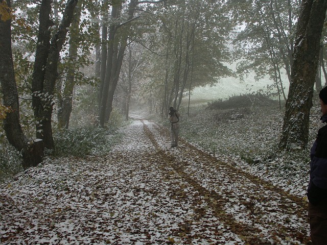 Raichberg 2007 Bild 12